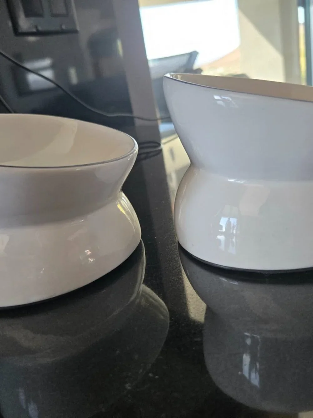 2 Tommy Bahama Pet Bowls
